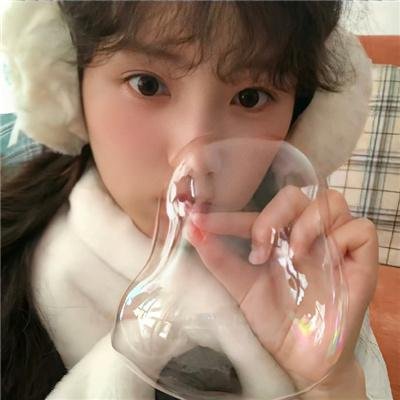 鸟语人生