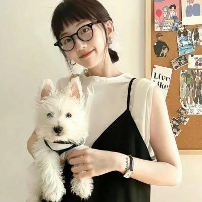白鸥啊 不要飞起来